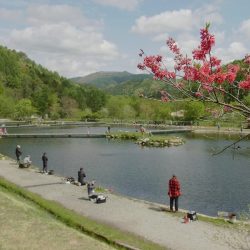 平谷湖フィッシングスポット 釣果