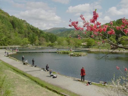 平谷湖フィッシングスポット 釣果