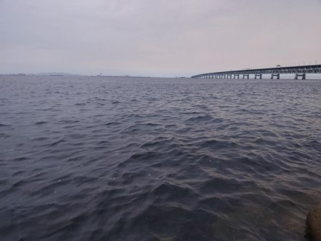 梅雨メバリング