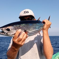 康仁丸・ジギング・鯛ラバ・釣り果