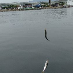 いろんな竿の調子を、楽しんで