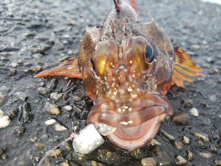 穴練釣行