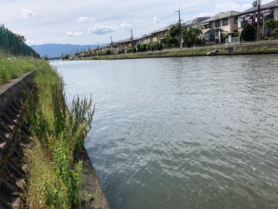 バス釣りのはずが・・・