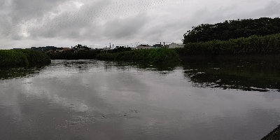 シーバス釣れた❗