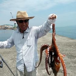 今日も昼から播磨新島のキス調査