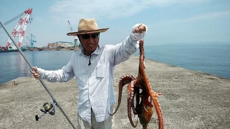 今日も昼から播磨新島のキス調査