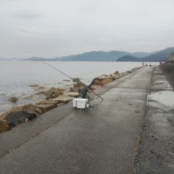 苅屋海岸のキス釣り