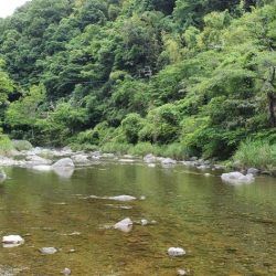 解禁日から1週間