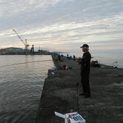 小型キス主体となった播磨新島