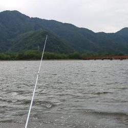シロギス釣り　今年初の由良川河口左岸