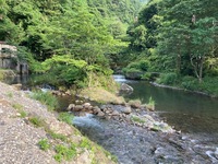 秩父フライフィールド 釣果