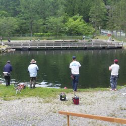 平谷湖フィッシングスポット 釣果