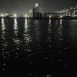 涼しい夜釣り