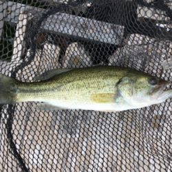 釣果は良くありませんが、納得のいく釣りでした