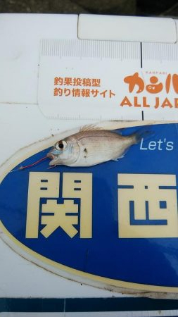 高砂釣行Ⅱ