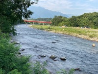 秩父フライフィールド 釣果