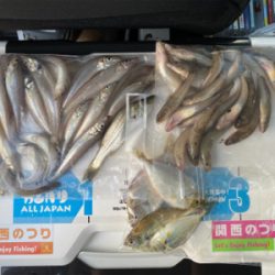 ちょい投げ、キス釣り