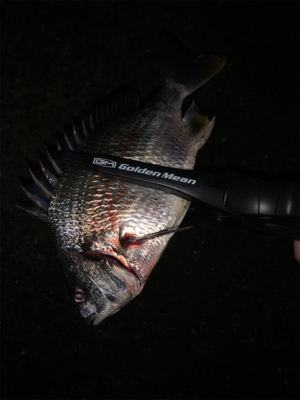 大和川でウナギ釣り