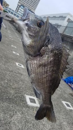 久しぶりの釣り