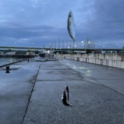 雨の合間に