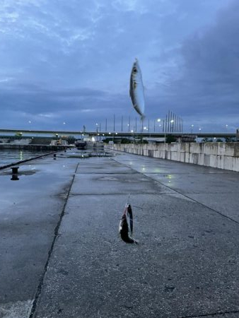 雨の合間に