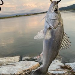 1ヶ月半振りの釣行