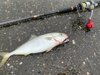 調子がいい釣行