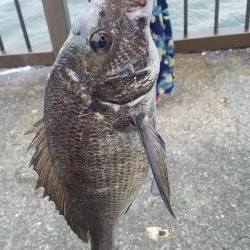 久しぶりの釣り