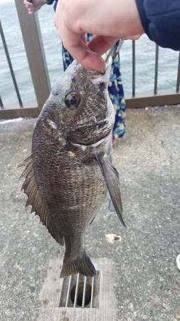 久しぶりの釣り