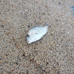 暑い。。雨の前に。