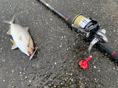 調子がいい釣行