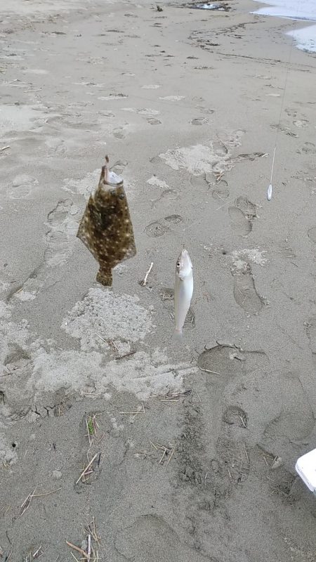 雨後釣査