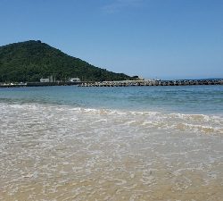 暑い。。雨の前に。