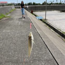 ちょい投げキス釣り