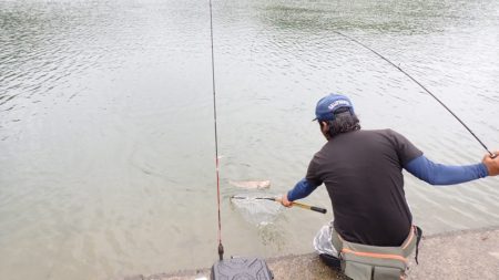 フィッシングレイクたかみや 釣果