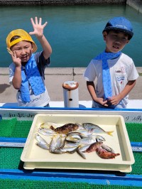 和歌山マリーナシティ釣り公園 釣果