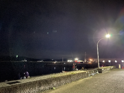 はじめての和歌浦漁港