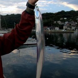 塩津漁港での釣行！