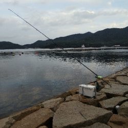 室津のキス釣り