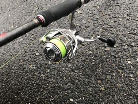 朝マズメの太刀魚釣り