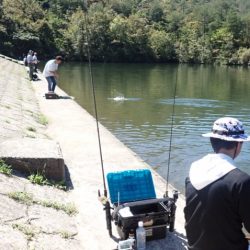 フィッシングレイクたかみや 釣果