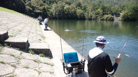 フィッシングレイクたかみや 釣果