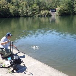 フィッシングレイクたかみや 釣果