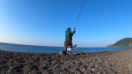 カツオ本格化・ヤイトカツオ（本スマ）も2匹混じる