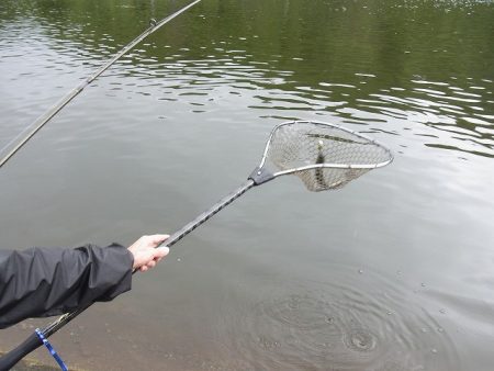 平谷湖フィッシングスポット 釣果