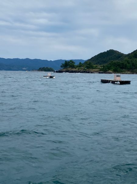 あみや渡船 釣果