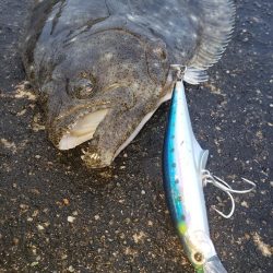 朝練釣行