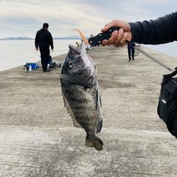 青物狙いのはずが