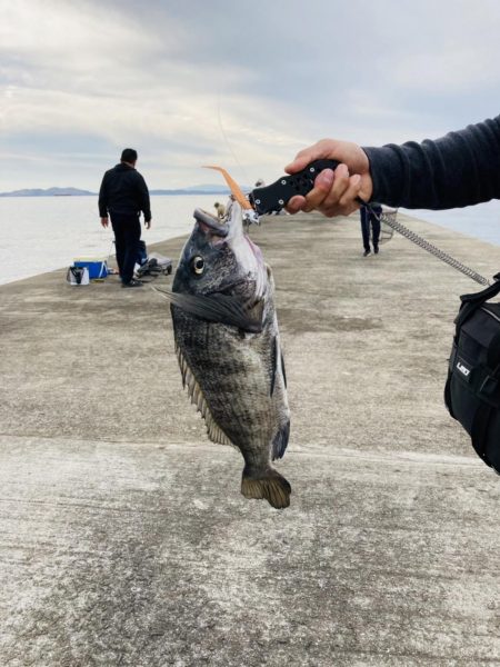 青物狙いのはずが