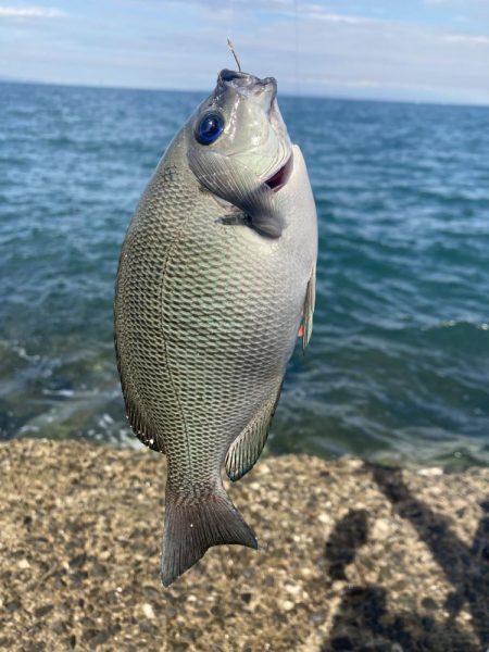 紀州釣り